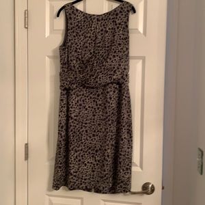 Animal print size 12 Anne Taylor
